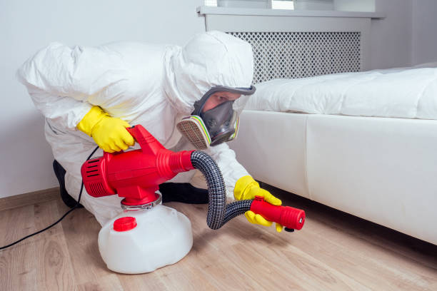 Best Commercial Pest Control Services  in Apache Junction, AZ