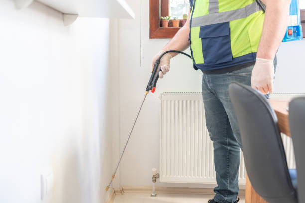 Best Exterminator Services  in Apache Junction, AZ