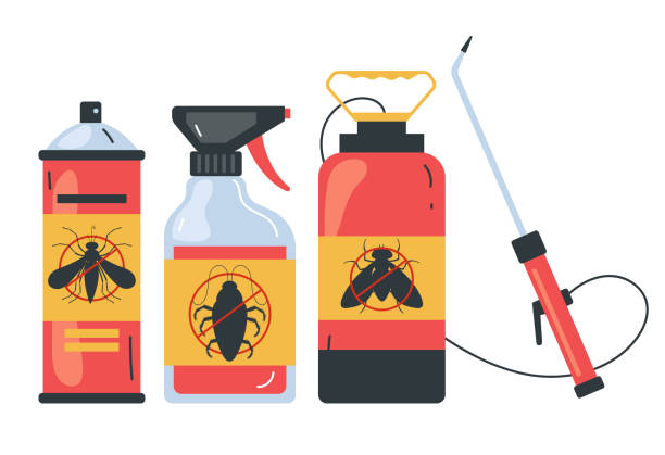 Best Pest Removal Services  in Apache Junction, AZ